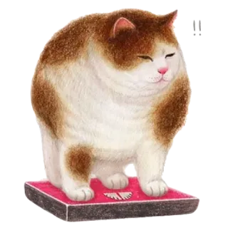 nyangsongi_cat whatsapp stickers