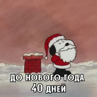 🎄 Snoopy ДО НОВОГО ГОДА
40 ДНЕЙ snoopy, chien, noël, nouvel an, hiver, neige whatsapp sticker