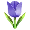 🌷