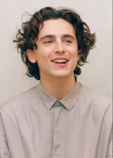 🦇 Timothée Chalamet actor, celebridad, retrato, hombre, pelo rizado telegram sticker
