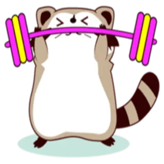 🏋 mapache, halterofilia, fitness, ejercicio, dibujo animado, animal, lindo whatsapp sticker