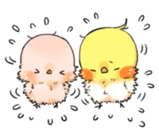 😣 poussin, mignon, kawaii, animaux, oiseaux, duveteux telegram sticker