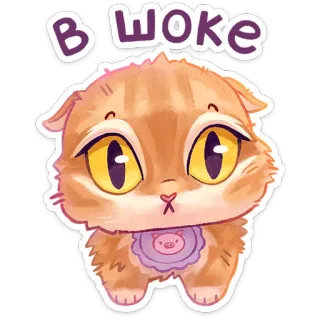 😳 В ШОКЕ 猫, びっくり, かわいい, 動物, ステッカー telegram sticker