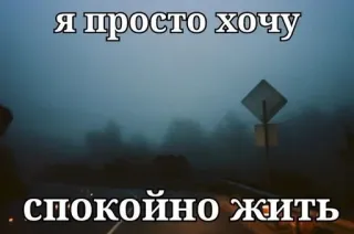 🌟 я просто хочу спокойно жить 안개, 평화, 도로, 러시아, 자연, 평온 whatsapp sticker