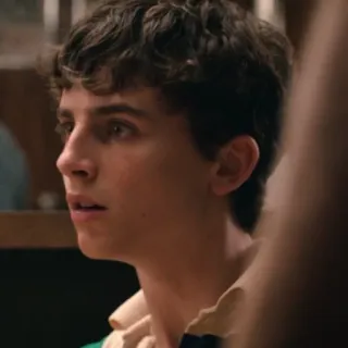 😐 Timothée Chalamet актер, портрет, знаменитость, человек, лицо whatsapp sticker