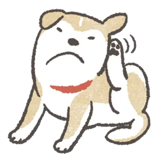 🙁 cachorro, coceira, coçar, animal de estimação, animal, desenho animado whatsapp sticker