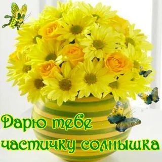 🎁 Дарю тебе частичку солнышка flowers, yellow, butterflies, bouquet, greetings, sunshine telegram sticker