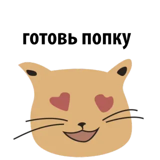 🍑 готовь попк gato, animal, amor, fofo, kawaii telegram sticker