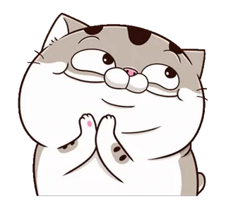 😊 gato, mono, suplicante, adorable, feliz whatsapp sticker