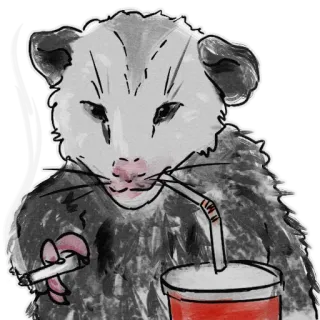 😒 Opossum, Binatang, Rokok, Minuman, Mamalia telegram sticker