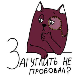 🔍 ЗАГУГЛИТЬ НЕ ПРОБОВАЛ? Katze, Monokel, Russisch, Frage, Suche, Internet telegram sticker