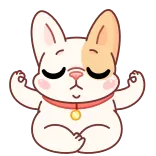 🧘‍♂️ perro, meditación, yoga, lindo, animal, pegatina whatsapp sticker