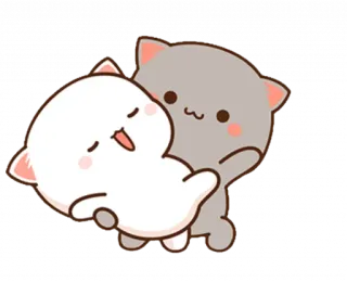 🤗 chat, chaton, mignon, câlin, affection, amitié whatsapp sticker
