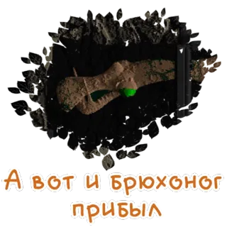 👋 А вот и брюхоног прибыл whatsapp sticker