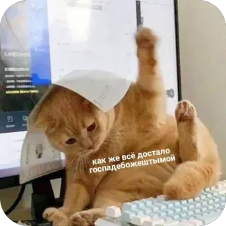 🫥 как же всё достало госпадебожештымой telegram sticker