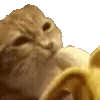 🍌