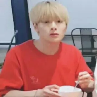 🐰 whatsapp sticker