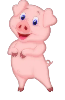 @pig whatsapp stickers