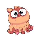 🤪 kat, dier, schattig, kitten, huisdier telegram sticker