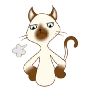 😤 gatto, arrabbiato, cartone animato, animale, animale domestico, siamese whatsapp sticker
