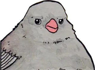 MemeBirds whatsapp stickers