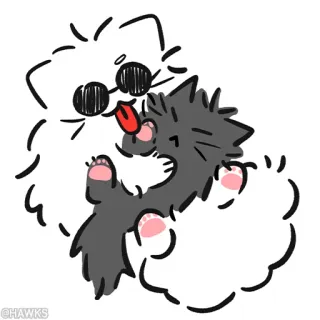 🖤 HAWKS gatto, animale, carino, animale domestico, adesivo whatsapp sticker