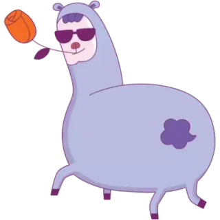 😎 llama, flor, gafas de sol, dibujo animado telegram sticker