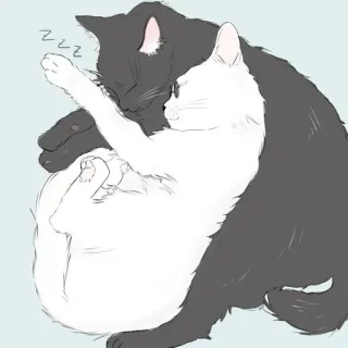 🐈 zzz Katze, Katzen, süß, schlafen, schlafend, Tier, Haustiere, schwarze Katze, weiße Katze telegram sticker