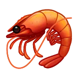 🦐
