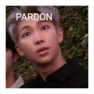 😄 PARDON 밈, 웃긴, 표정, 실례합니다, 반응, 혼란 telegram sticker