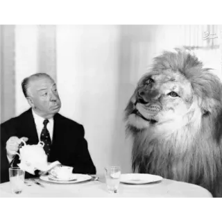😊 Alfred Hitchcock อัลเฟรด ฮิตช์ค็อก, ผู้กำกับ, สิงโต, ชา, คลาสสิก, ขาวดำ, ผู้กำกับภาพยนตร์ whatsapp sticker