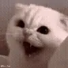 👿
