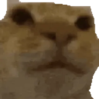 Relanit GIFs telegram stickers