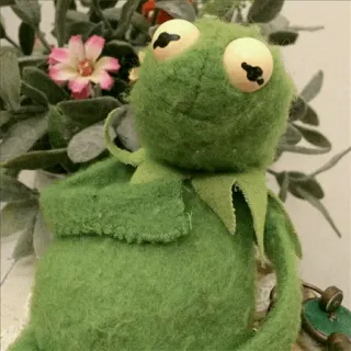 🐸 Kermit Kermit, o Sapo, Muppets, sapo, verde, fantoche whatsapp sticker