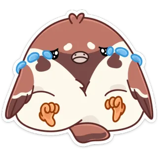 😭 pássaro, animal, adesivo, fofo, desenho animado telegram sticker