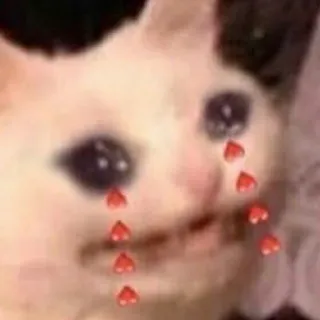 😾 猫, 悲しい, 泣く, ハート, ミーム, 動物, 絵文字 telegram sticker