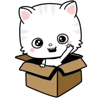 👋 고양이, 상자, 새끼 고양이, 만화, 불쾌한, 제스처 telegram sticker
