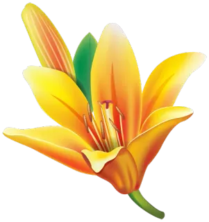 🌸 fiore, giallo, giglio, natura, pianta whatsapp sticker
