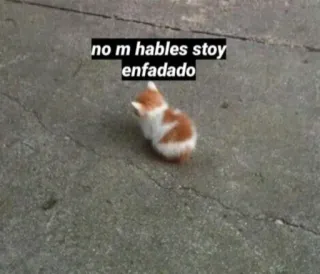 😡 no m hables estoy enfadado cat, kitten, angry, meme, funny, spanish telegram sticker