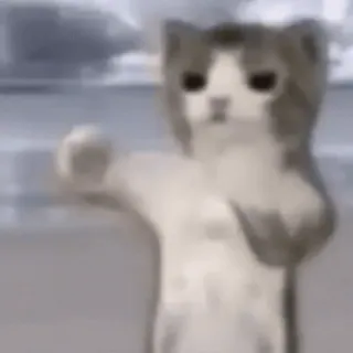 Больше стиков тут: @stikery4 whatsapp stickers