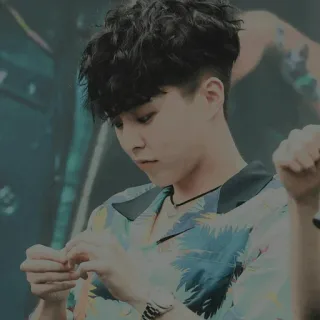 🕊 whatsapp sticker