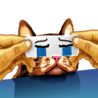 😭 кот, грустный, плачущий, эмоция, животное, мем whatsapp sticker