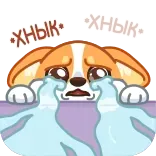 😭 ХНЫК cane, piangere, triste, lacrime, animale, cucciolo telegram sticker