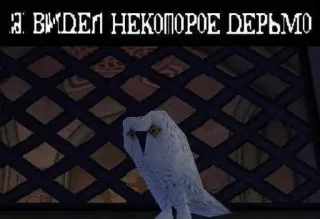 😐 Я ВИДЕЛ НЕКОТОРОЕ ДЕРЬМО owl, text, funny, meme, russian, bird telegram sticker