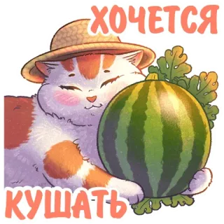 🍉 ХОЧЕТСЯ КУШАТЬ Katze, Wassermelone, Hut, süß, Tier, russisch telegram sticker