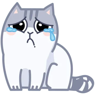 😭 gato, triste, chorando, lágrimas, gatinho telegram sticker
