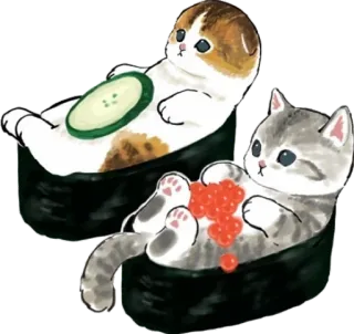 🍣 gato, sushi, engraçado, fofo, animal, gatinho telegram sticker