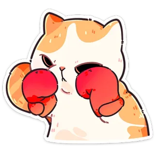 🥊 kat, boksen, dier, handschoenen, schattig, cartoon, vechter whatsapp sticker