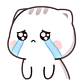 😭 cat, sad, crying, cute, animal, kawaii telegram sticker