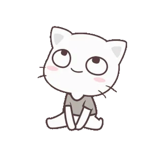 🙄 gato, lindo, pegatina, dibujo animado whatsapp sticker